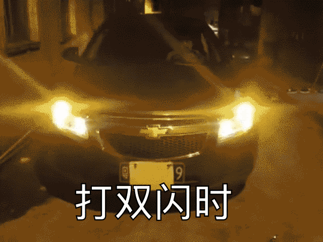 led车灯 双色转向灯日行灯 1156 t20 7443 2835 42smd 带解码套装