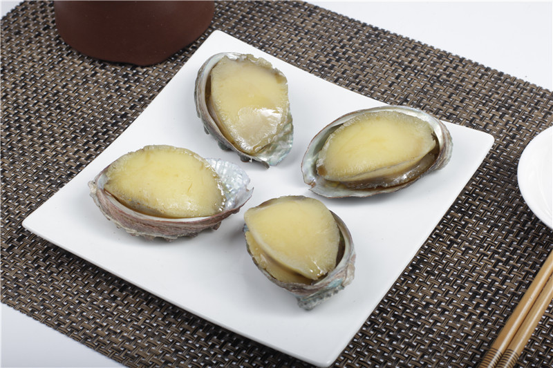 商品介绍 model food 产品名称:仿真鲍鱼模型