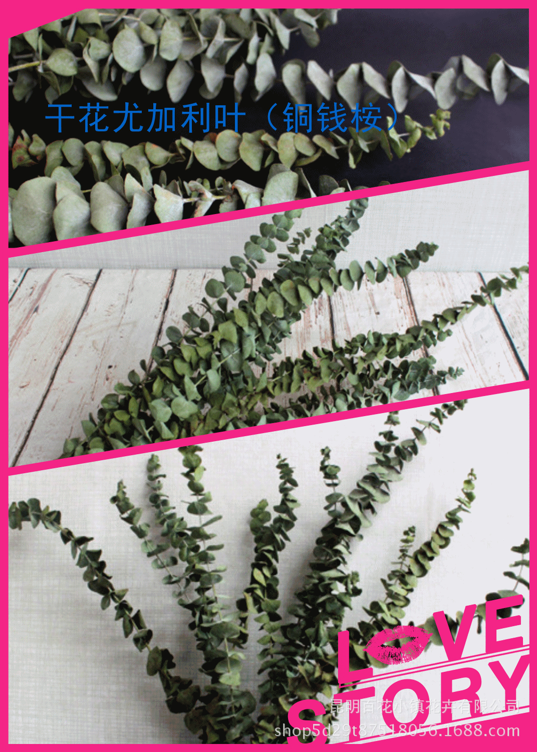 qq图片20171016103238_副本