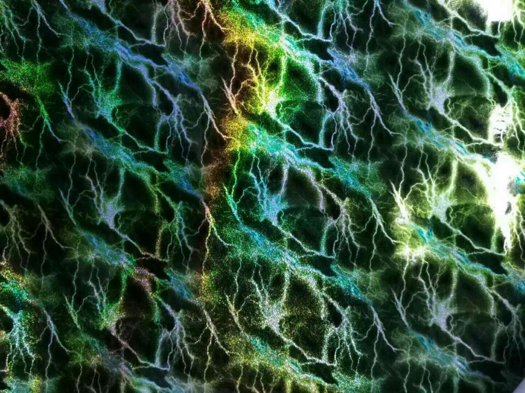 pu珠光闪电纹人革 镜面幻彩闪电纹面料 金粉闪电闪皮革sr-51218