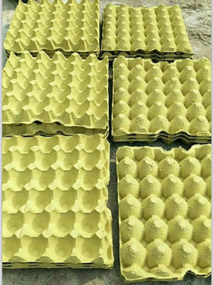 特价30枚装普通蛋托