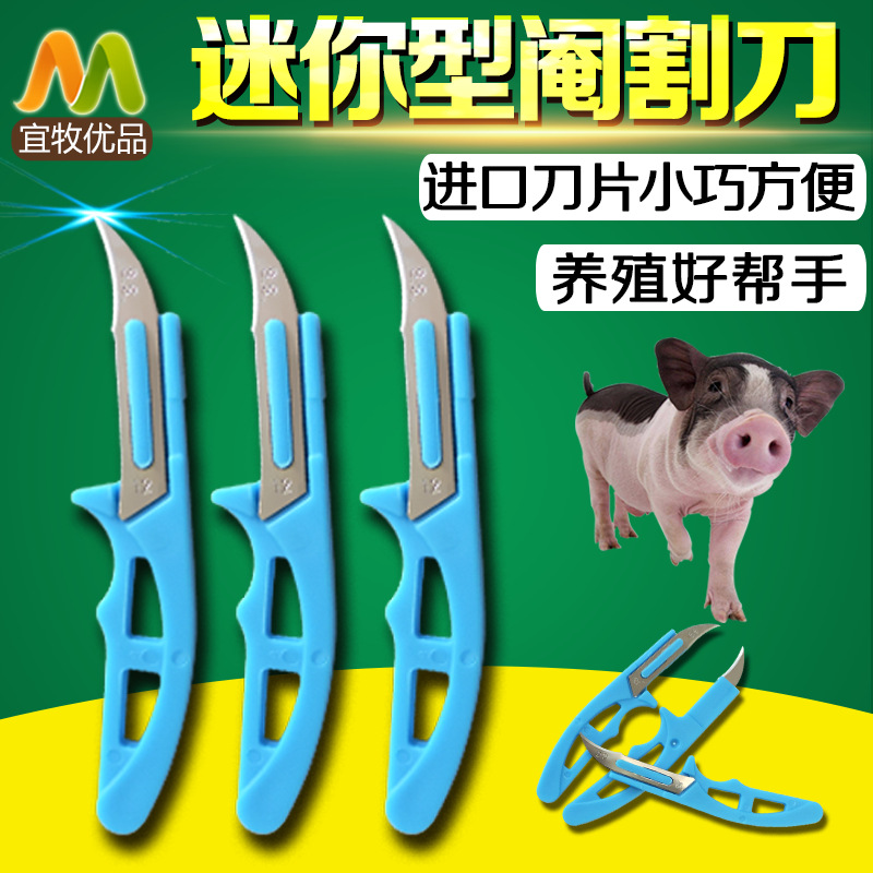 阉割刀手术刀猪用阉割去势刀兽用阉割刀不锈钢手术刀小型3把装