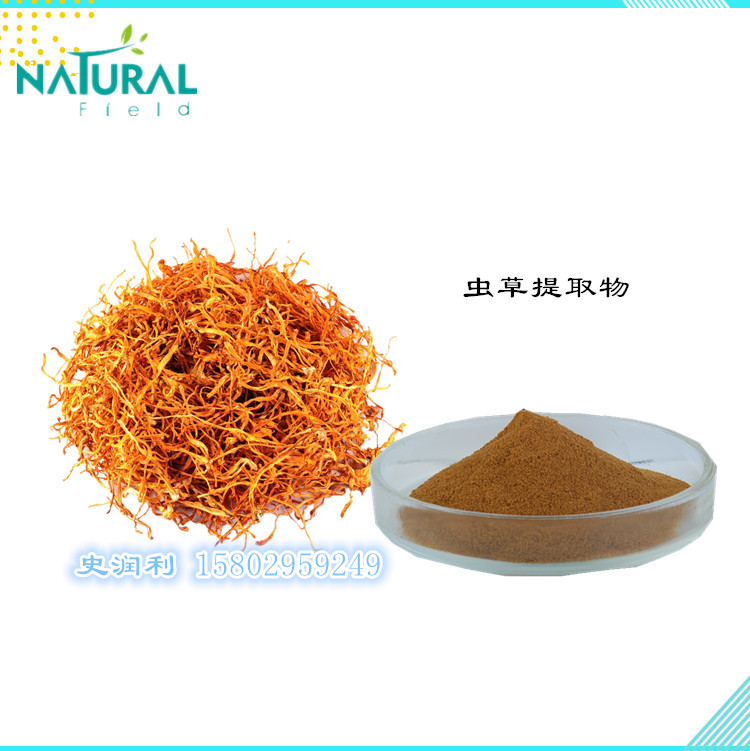 虫草菌粉/虫草粉 蛹虫草提取物 1kg/袋-阿里巴巴