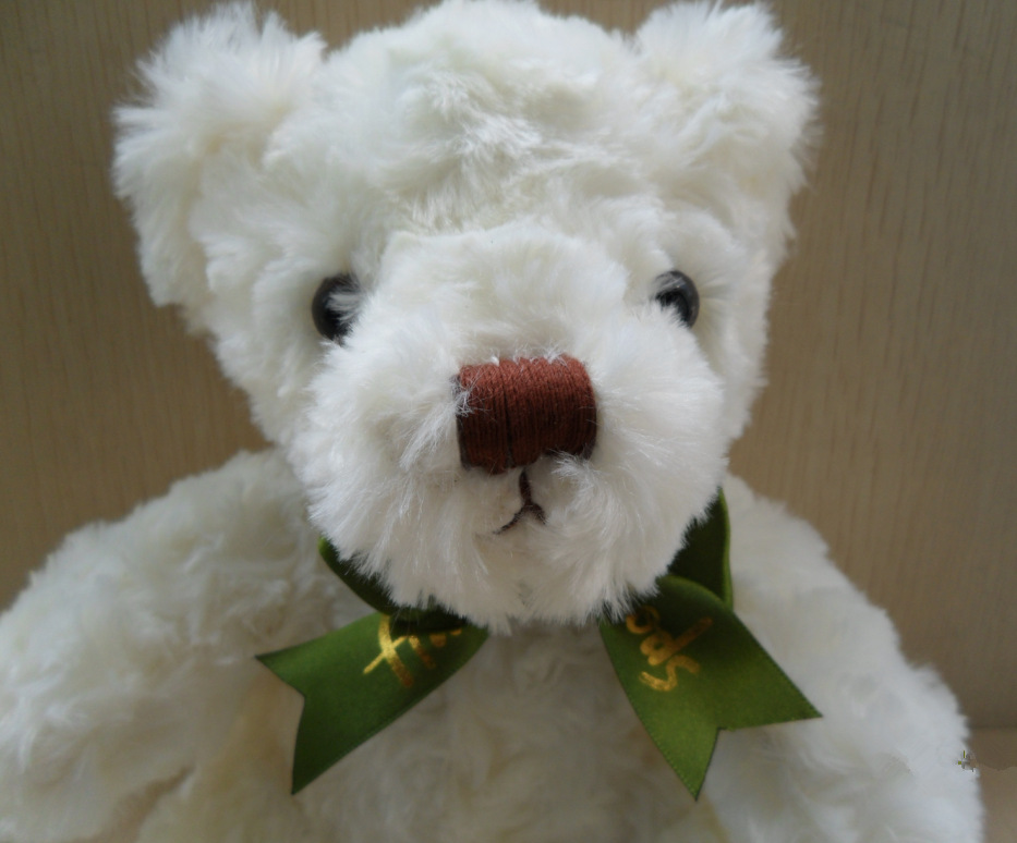 2018小号录音萌萌熊毛绒玩具压花卷毛泰迪熊公仔厂家批发