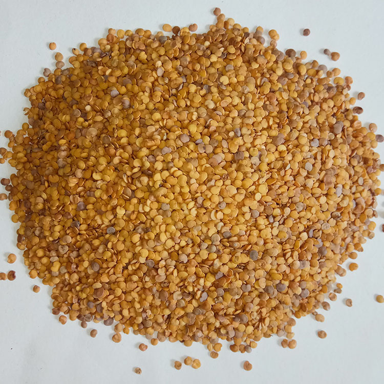 厂家供应熟茄子籽 低温烘焙茄子籽 原料茄子