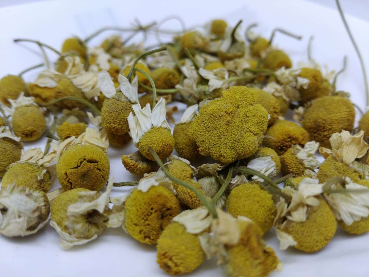 花草茶 洋甘菊 中药材 抓药 药店供货 优质大货 产地直销