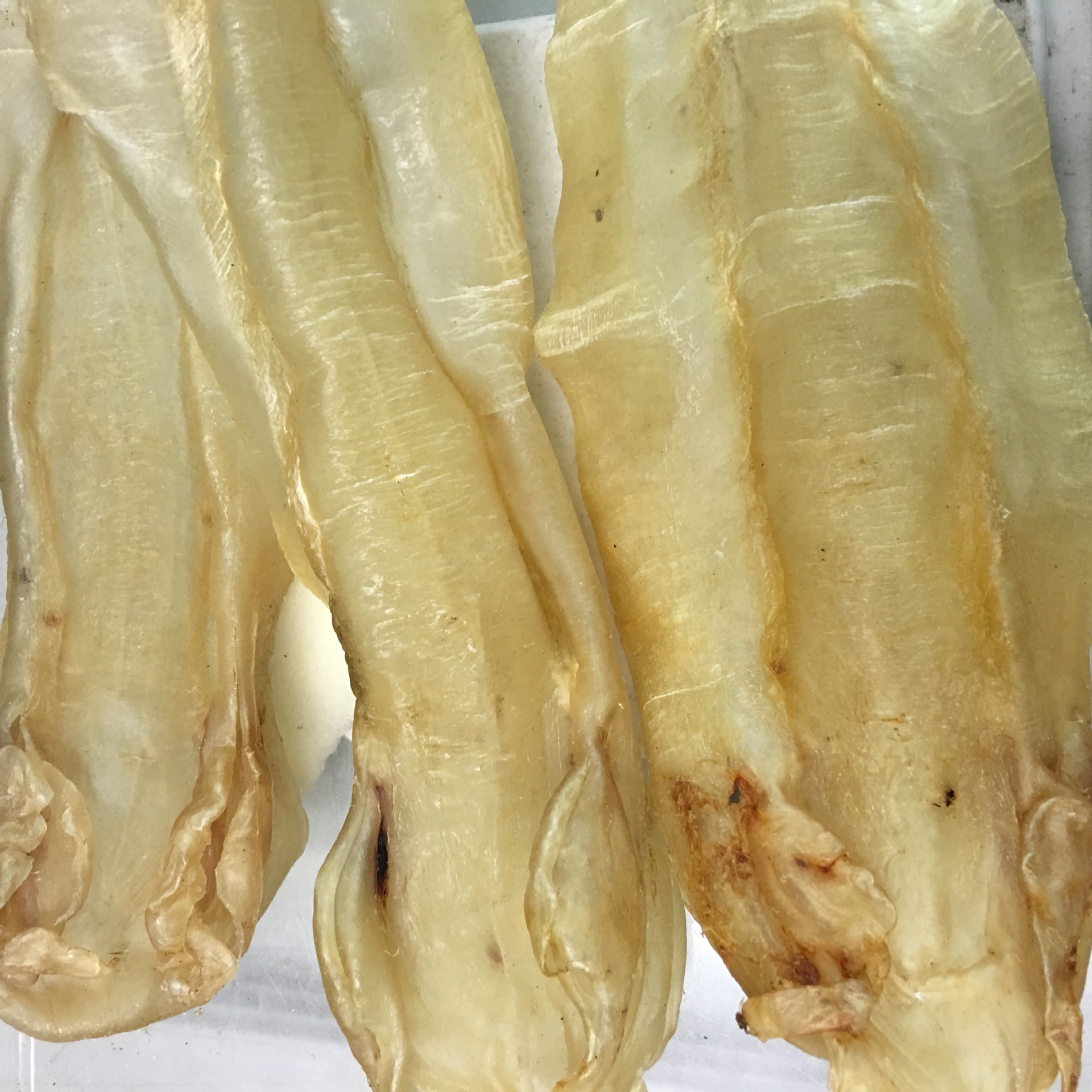 山里海里 苏里南北海公胶鱼胶花胶干货正品批发野生深海鱼肚鱼鳔