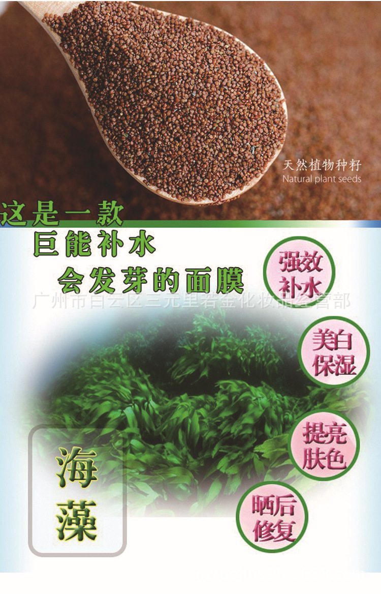 进口纯天然小粒海藻面膜500克会发芽的植物海藻补水保湿孕妇可用