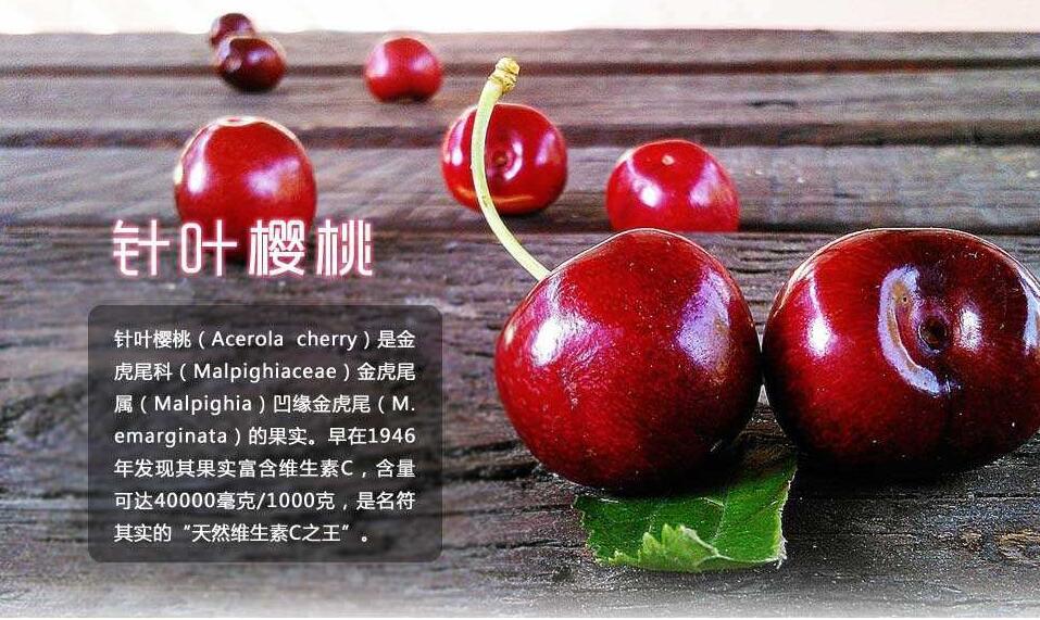 针叶樱桃提取物17% 高含量维生素c17%/樱桃果粉一件代发