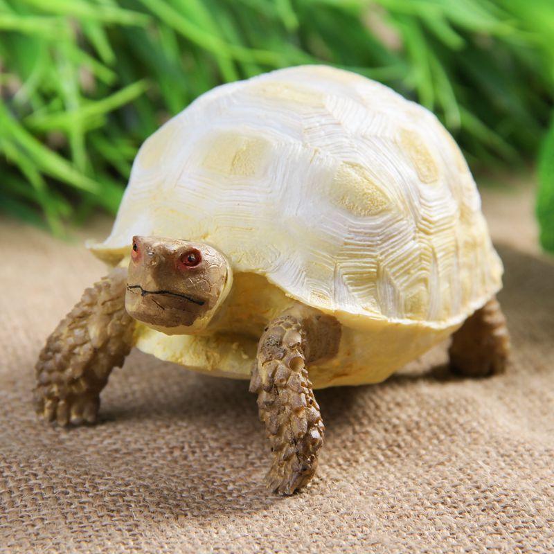 白化 苏卡达陆龟 仿真乌龟模型 树脂工艺品 摆件厂家 别墅装饰