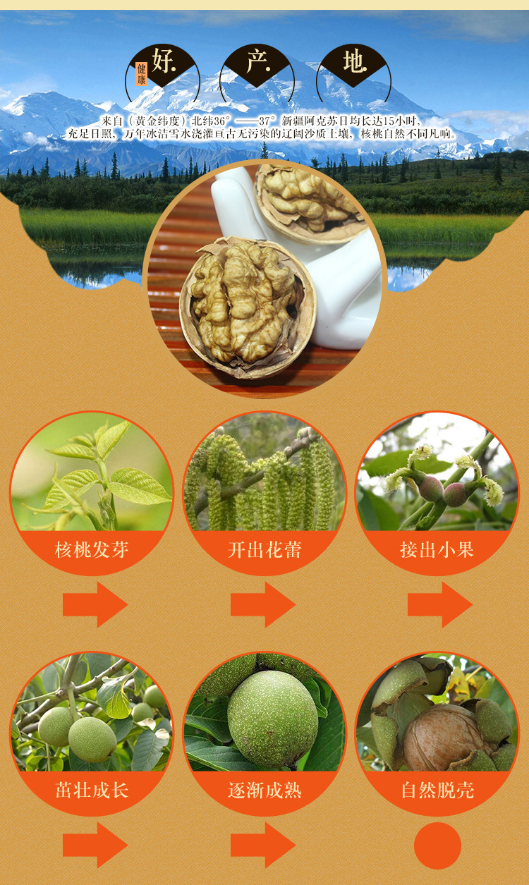 批发新疆185纸皮核桃 原味500克新核桃 手捏即开休闲零食产地直供