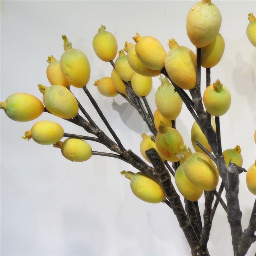 枇杷果干枝 浆果干枝干花插花枇杷果树枝客厅摆放装饰