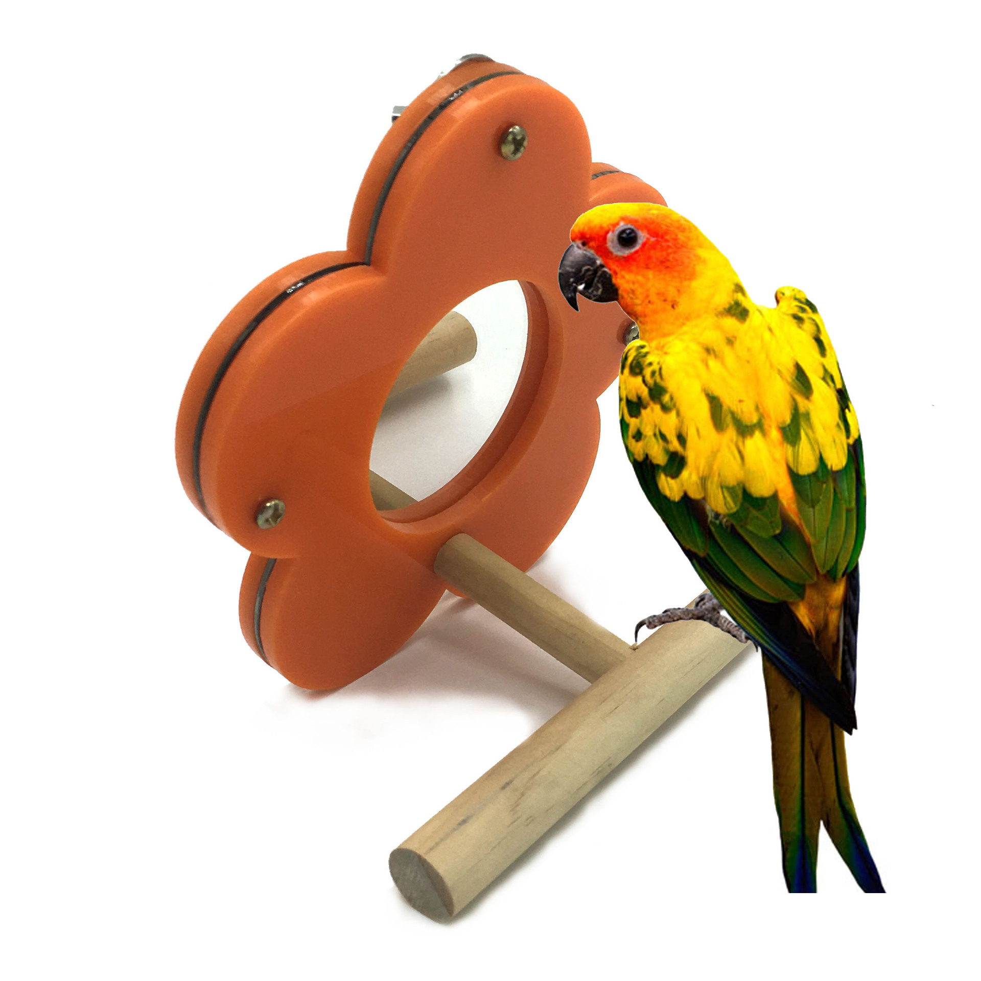 鹦鹉用品 鸟玩具镜子 站杠站架 亚克力梅花形站棒秋千云梯