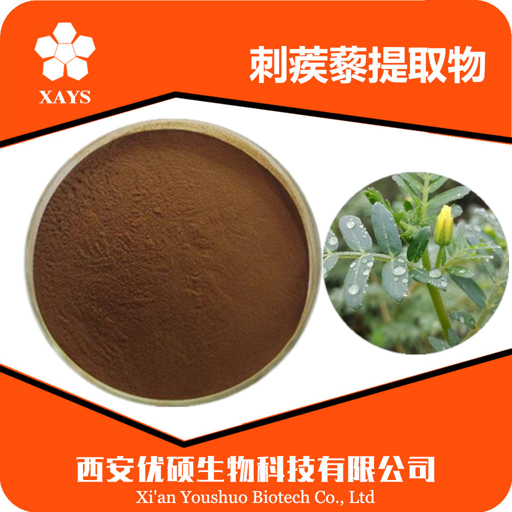 刺蒺藜提取物20:1 刺蒺藜粉 优硕现货 刺蒺藜多糖30% 刺蒺藜皂甙