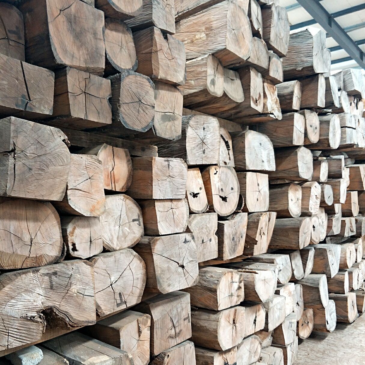 现货供应 黄金木 原木 黄金檀原木 非洲黄花梨 张家港广润木业