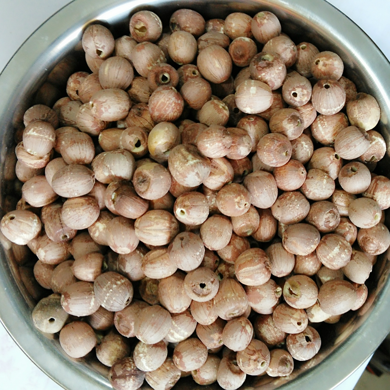 批发 莲子 红莲子 磨皮 无芯 散装