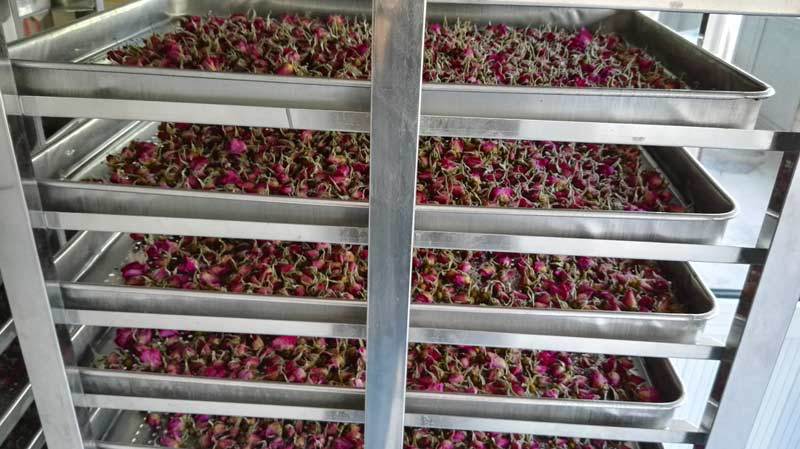 玫瑰花烘干机烘干方式vs 传统烘干方式