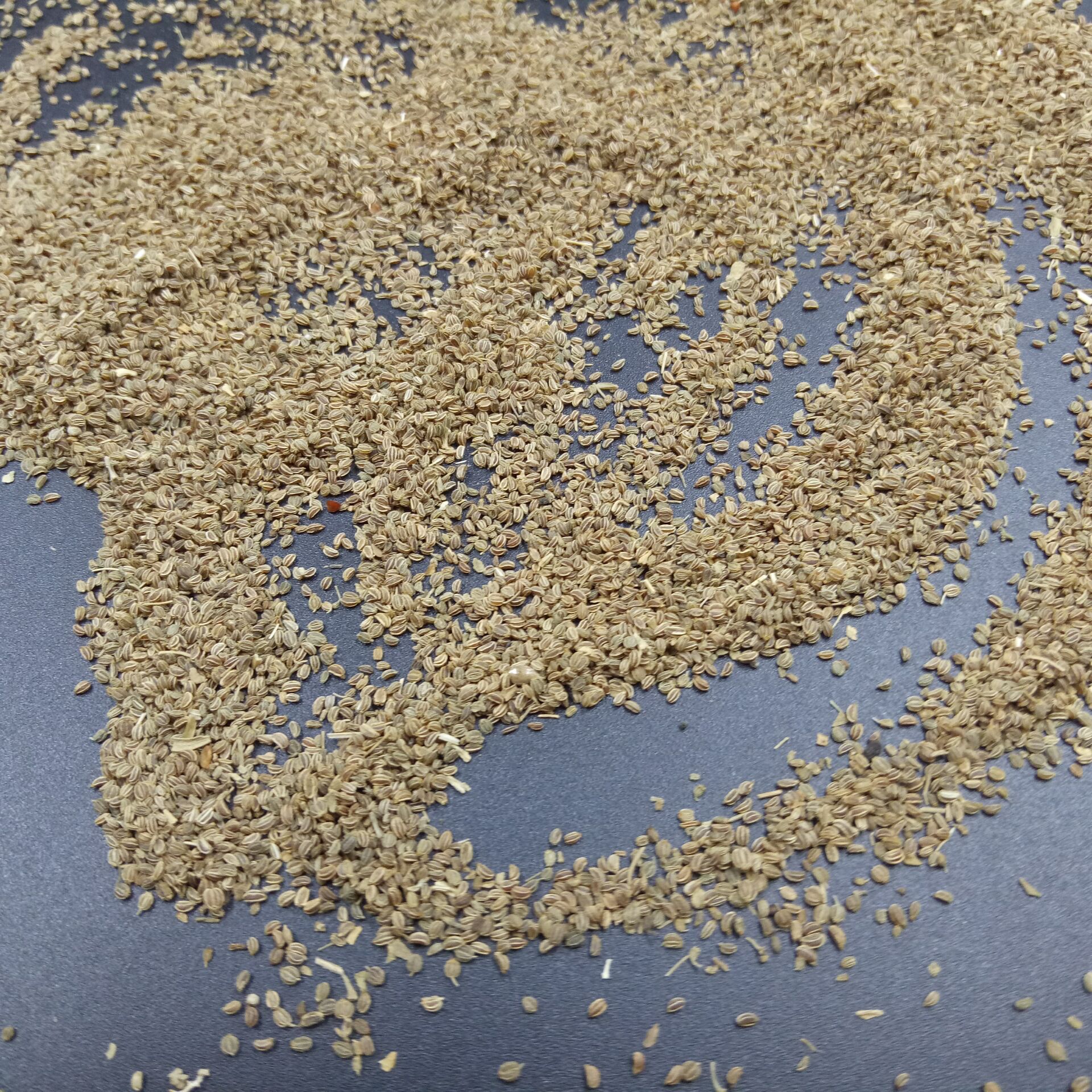 常富中药材 药食同源 芹菜子 芹菜籽 芹菜籽粉 各种菜籽磨粉