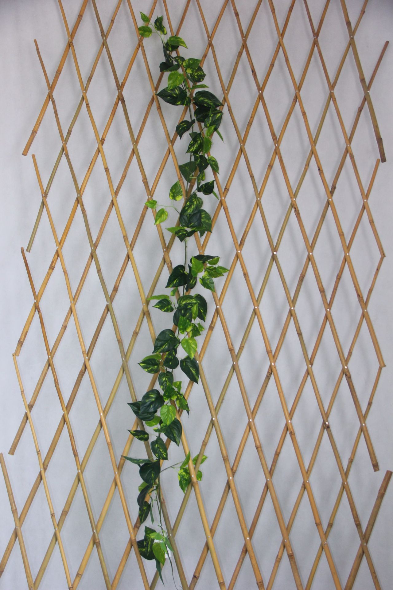 室内装饰植物墙配件藤条 仿真塑料猪心藤条 人造仿生藤条壁挂