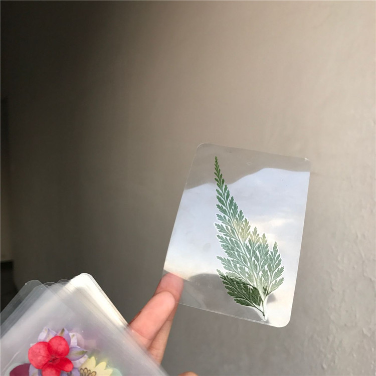 创意干花押花书签透明植物标本学生用品手工天然真花diy中国古风