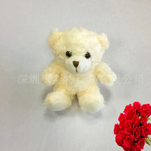 工厂定制 浪漫情人节精美礼品 20cm小款毛绒玩具玫瑰熊公仔 bear