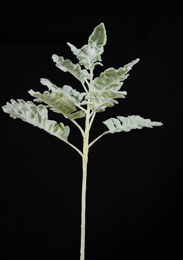 高档仿真植物绿植批发 仿真插花植物墙配材 羊耳叶 银叶菊仿真花