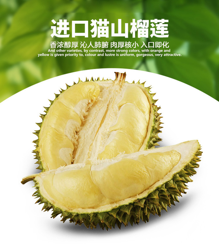 托曼尼 font color=red>猫山王 /font>青皮 font color=red>榴莲 