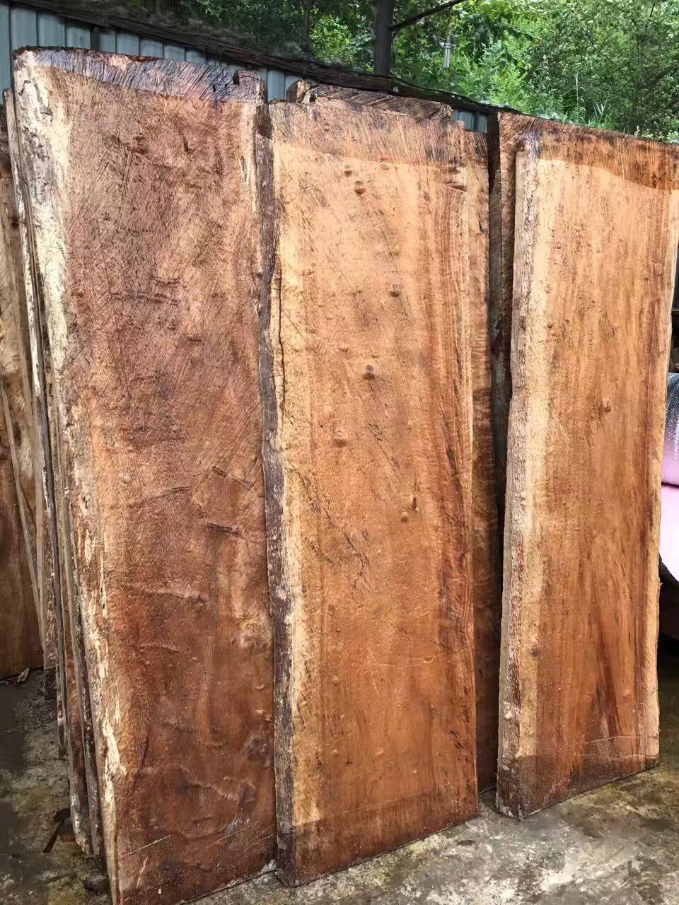 金丝楠实木板材黄金樟茶盘料家具料大板开板料门板料工艺雕刻木雕