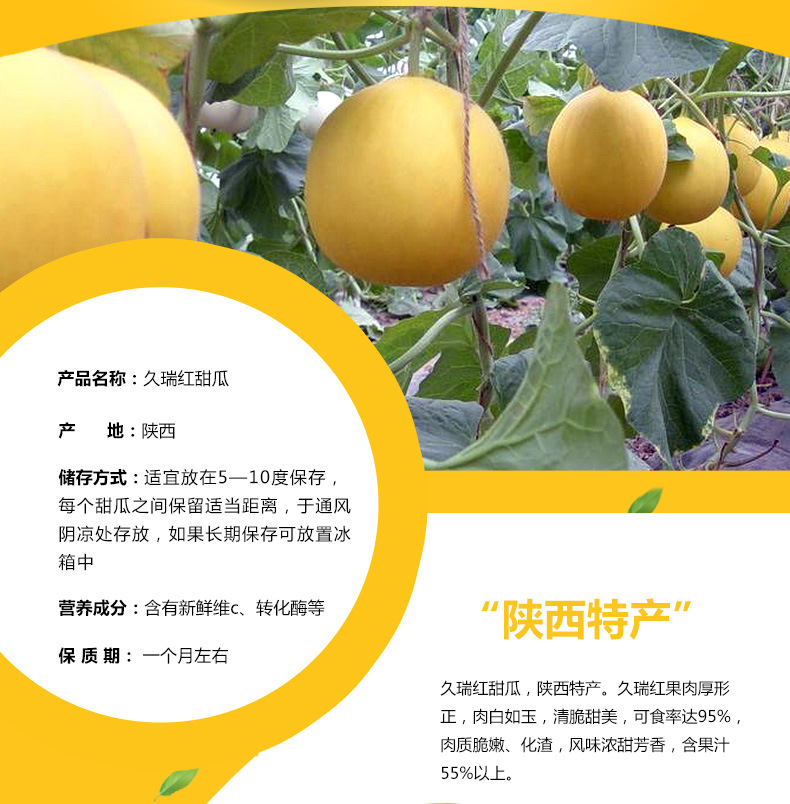 【产地直销】阎良久红瑞甜瓜供应5斤装瑞红香瓜批发销售 香脆汁多(不