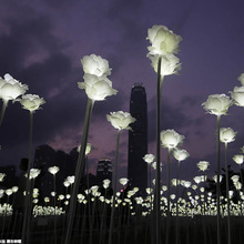 led玫瑰花灯户外郁金香 地插花灯 广场景观园林亮化工程仿真花海