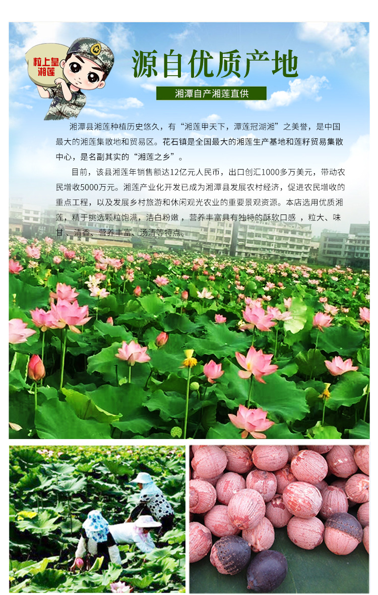 品种 红莲子 品级 一级