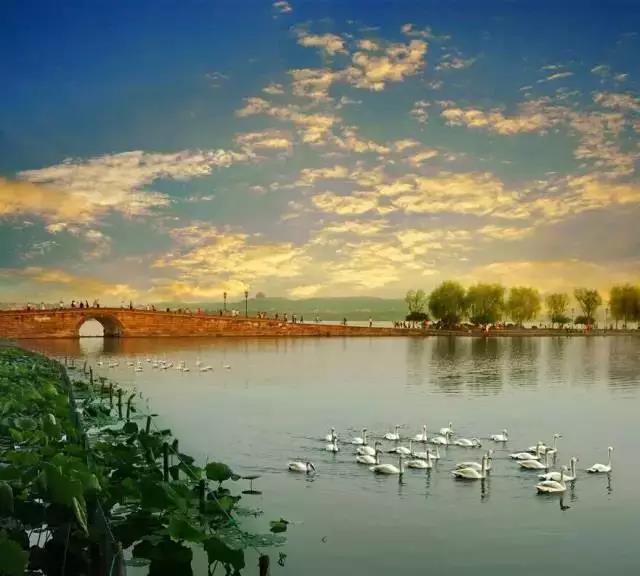 织女牵牛送夕阳,临看不觉鹊桥长.