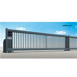 别墅电动遥控大门