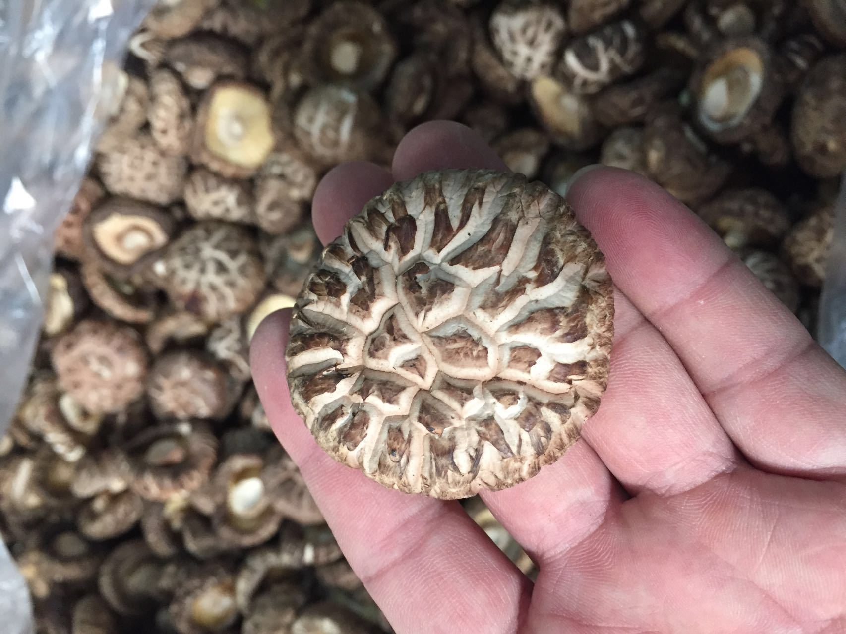 精选特级茶花菇干货4-4.5cm散装批发 香菇干直供一件500g