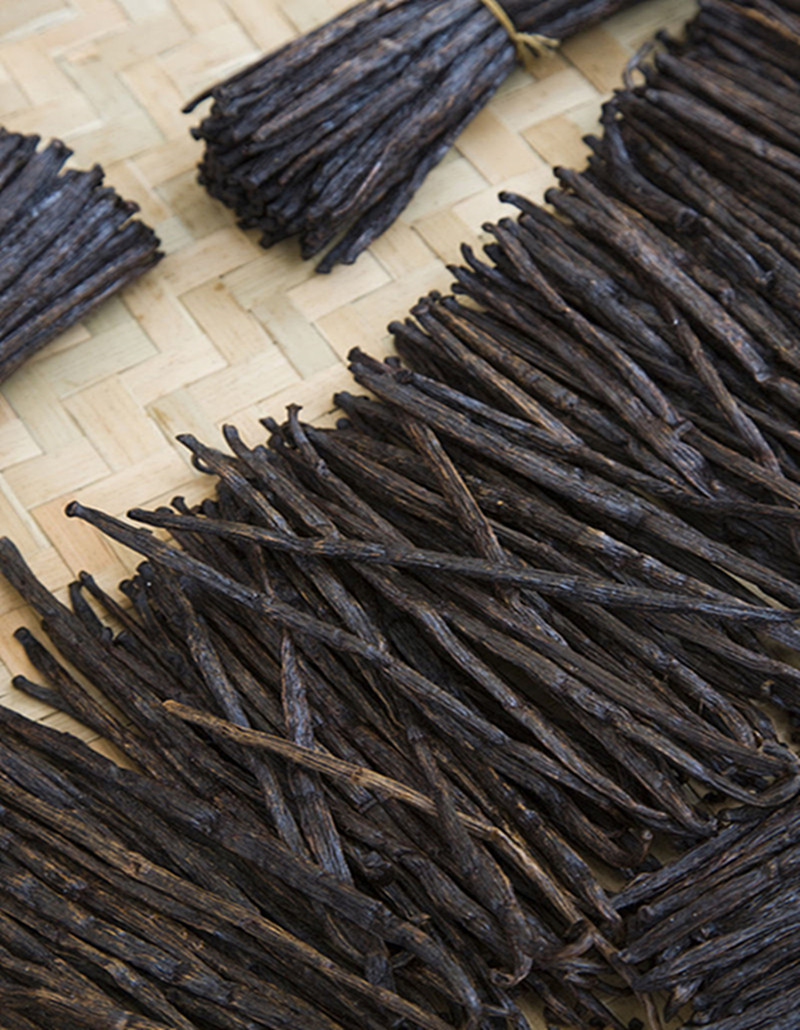 现货马达加斯加香草棒香草荚香草兰豆8-12 12-14 14-17 18-20厘米