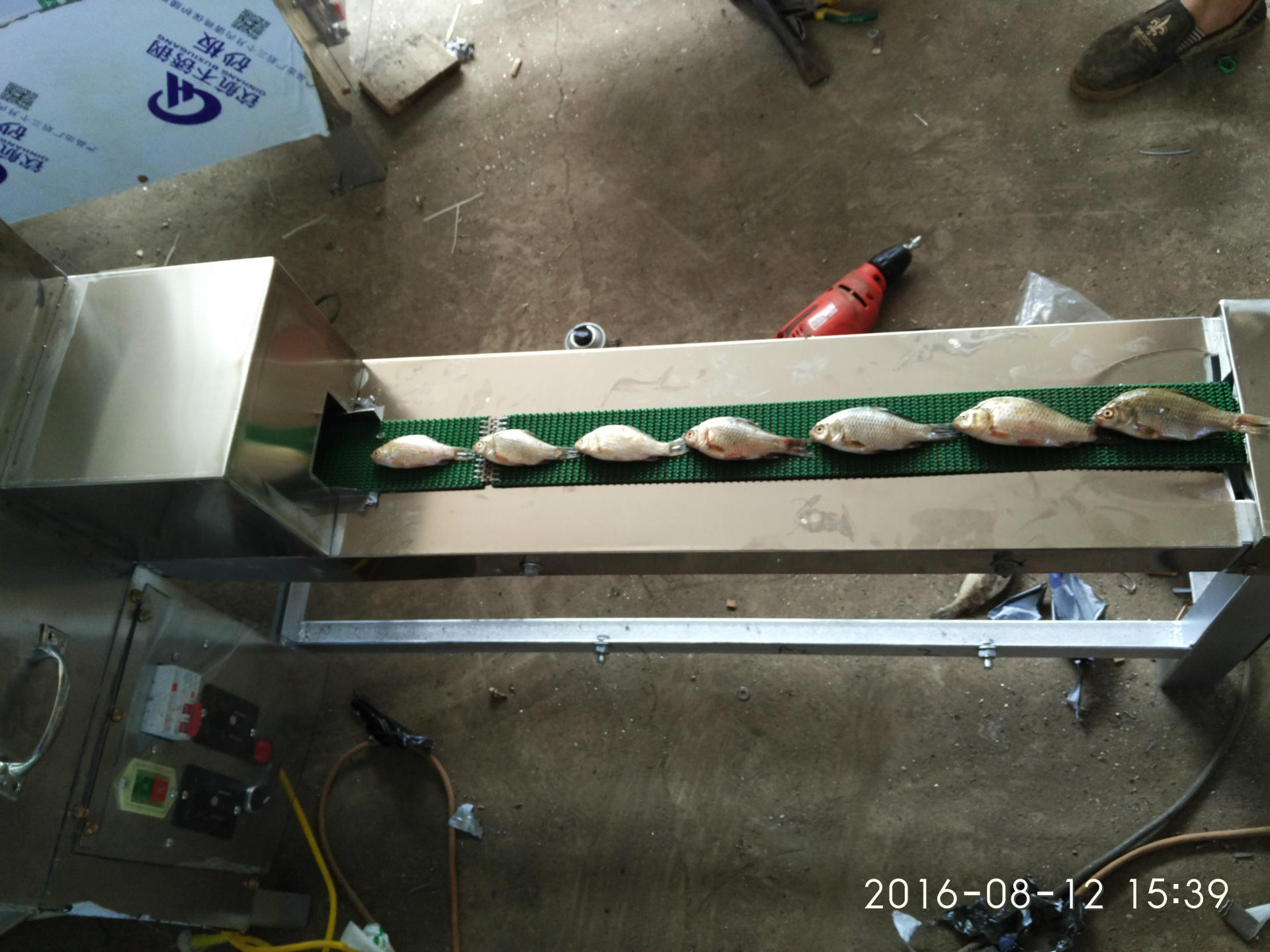 数控杀鱼机 全自动小型杀鱼机 仿手工杀鱼 去内脏省人工