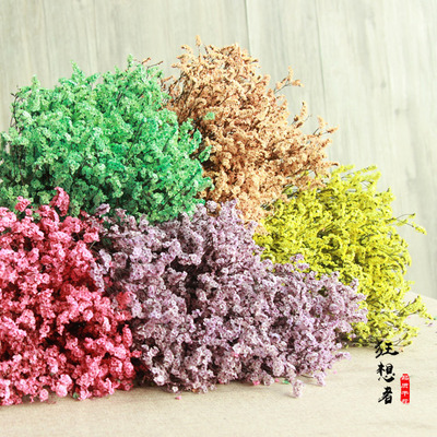 【染色水晶草】彩色水晶草干花真花6色装饰插花摄影七夕教师节