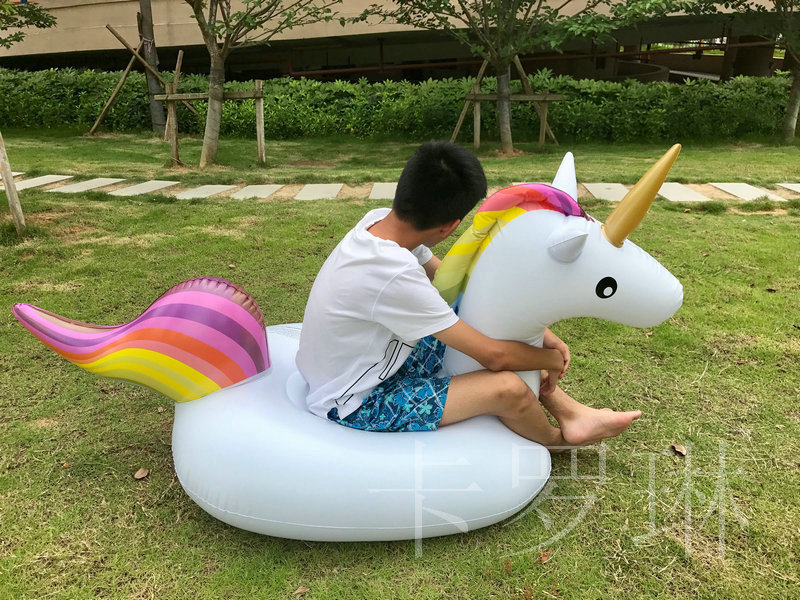 批发定制pvc成人儿童充气浮排新款大小号水上动物坐骑独角兽坐骑