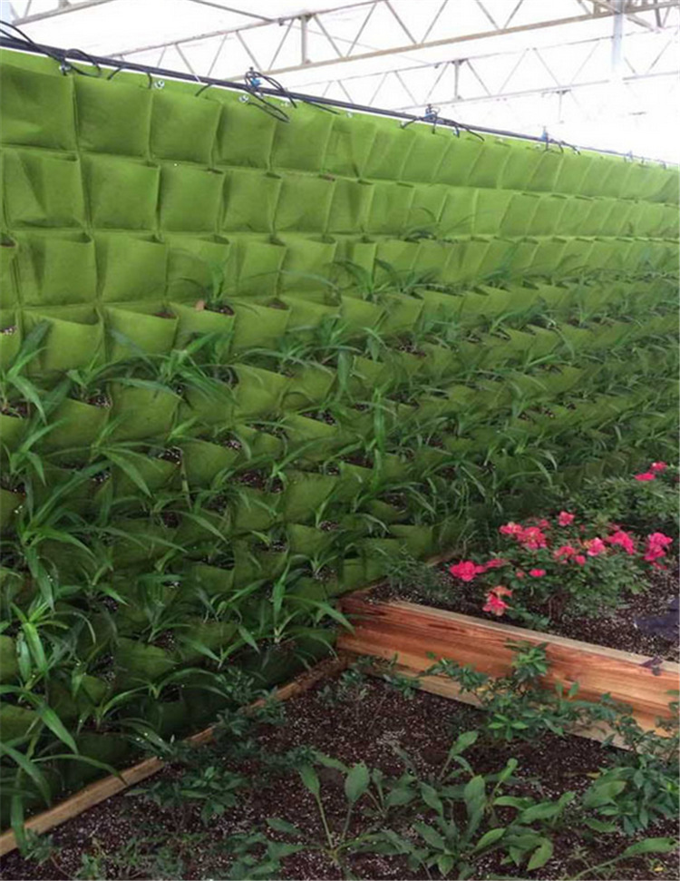 绿墙种植袋是大型室内室外墙面绿化的新型解决方案,装点绿色到你的