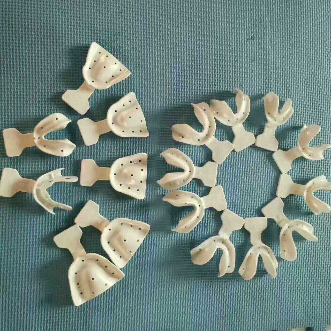 口腔材料 牙科材料全口个性无牙颌托盘套装17件套装 无牙颌牙托