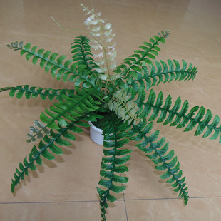 仿真蕨类波斯叶 鱼尾排骨形带须勾波斯草把束 植物墙配材厂家批发