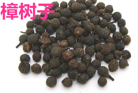 厂家直销中药材 新货 樟树子 樟树籽 香樟籽 樟木子 香樟子 500克