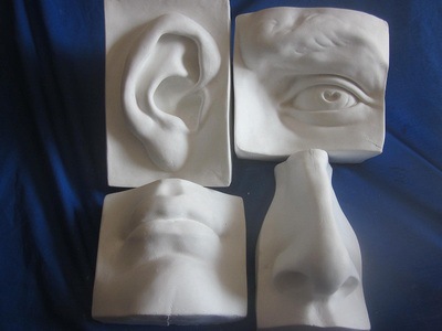 五官实面 分面石膏头像 美术用品 石膏教具 五官石膏像 欢迎订购