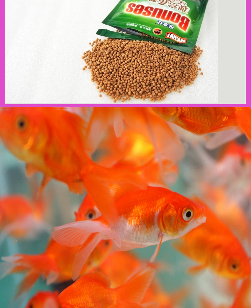 保拿仕金鱼饲料小颗粒上浮金鱼鱼食鱼粮增体小型热带鱼饲料不浑水