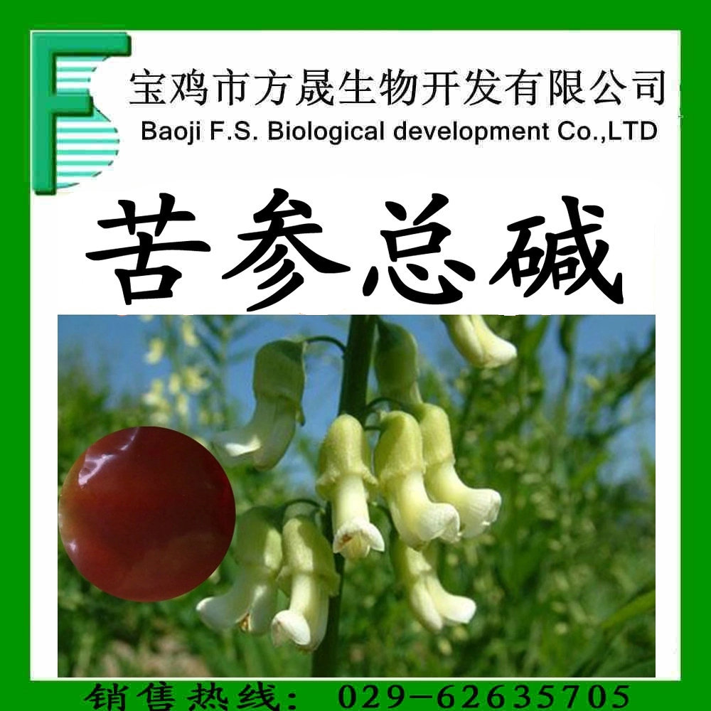 苦参总碱95% 苦参碱 苦豆子提取物 苦参总碱浸膏,工厂常年现货