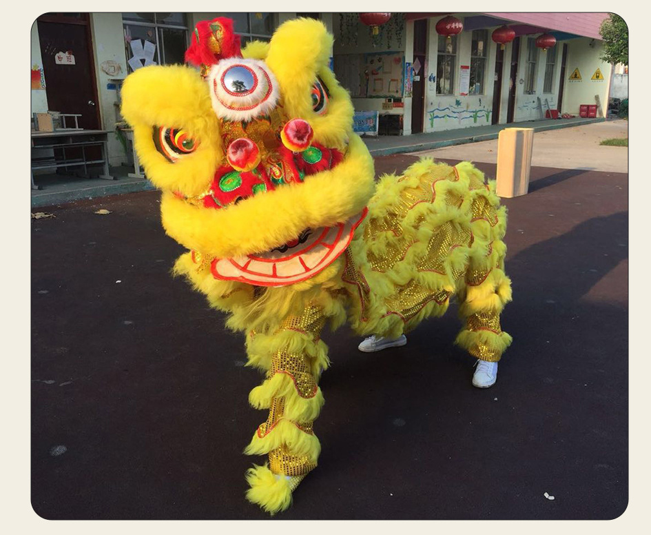 舞狮醒狮佛装狮醒狮舞狮子醒狮南狮澳洲羊毛醒狮佛山标准成人醒狮