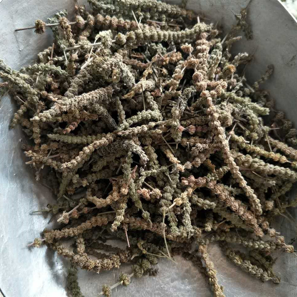 中药材 荆芥穗 香荆荠 线荠 四棱杆蒿 新货 抓药 药店供货