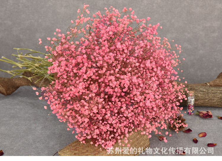 红色满天星图片