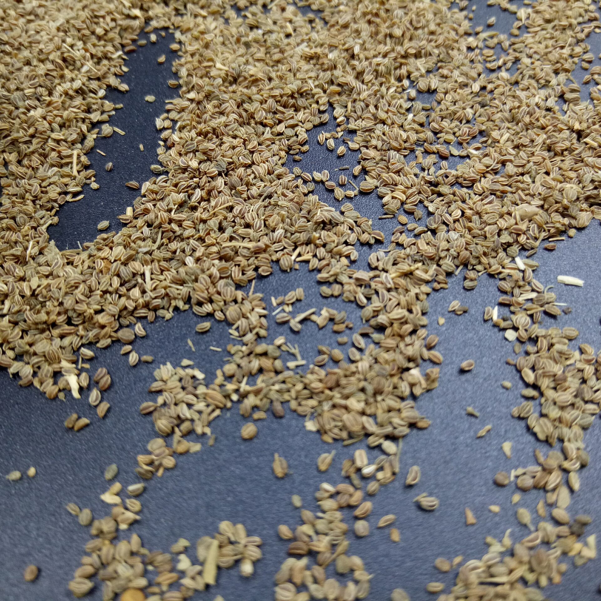 常富中药材 药食同源 芹菜子 芹菜籽 芹菜籽粉 各种菜籽磨粉