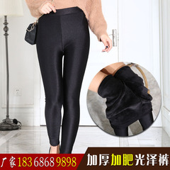 加绒超柔侧边带条纹光泽裤 白边双杠高腰锦纶光泽打底裤 杰咔妮啦